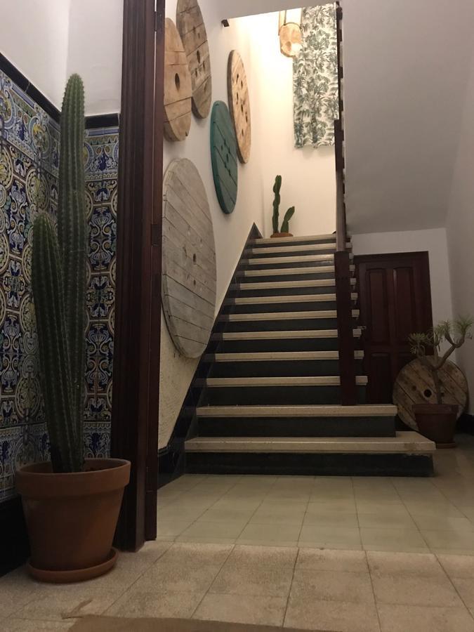 הוסטל לאס פאלמס דה גראן קנאריה Cactus Host מראה חיצוני תמונה