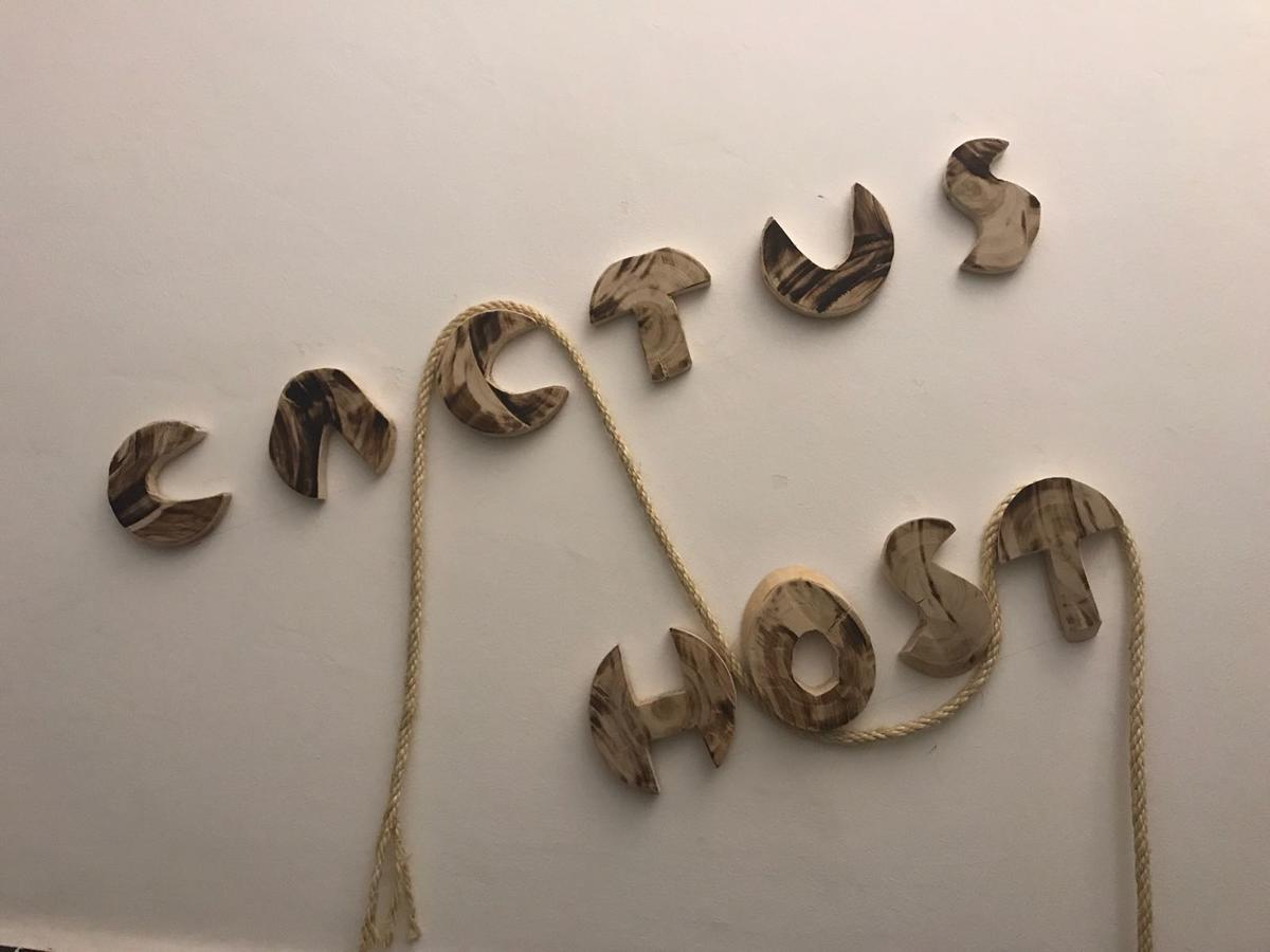 הוסטל לאס פאלמס דה גראן קנאריה Cactus Host מראה חיצוני תמונה