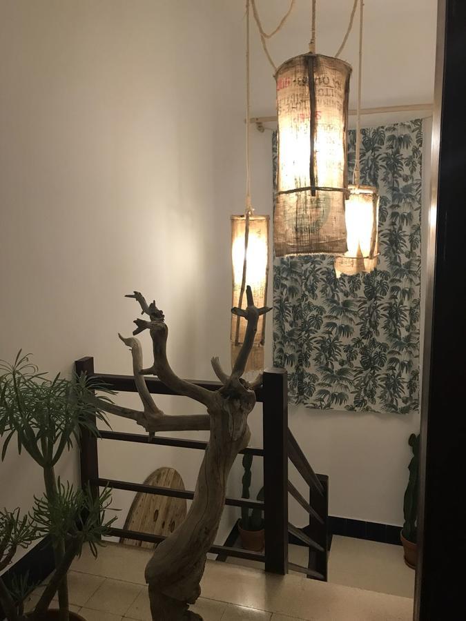 הוסטל לאס פאלמס דה גראן קנאריה Cactus Host מראה חיצוני תמונה