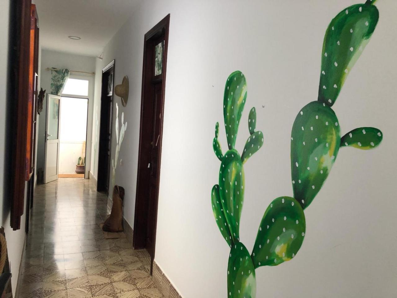 הוסטל לאס פאלמס דה גראן קנאריה Cactus Host מראה חיצוני תמונה