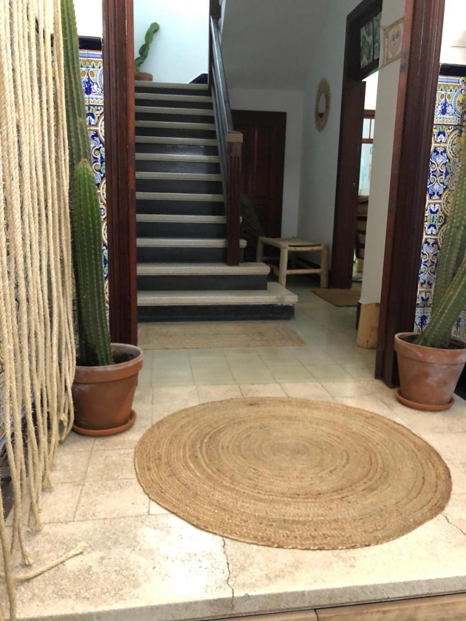 הוסטל לאס פאלמס דה גראן קנאריה Cactus Host מראה חיצוני תמונה