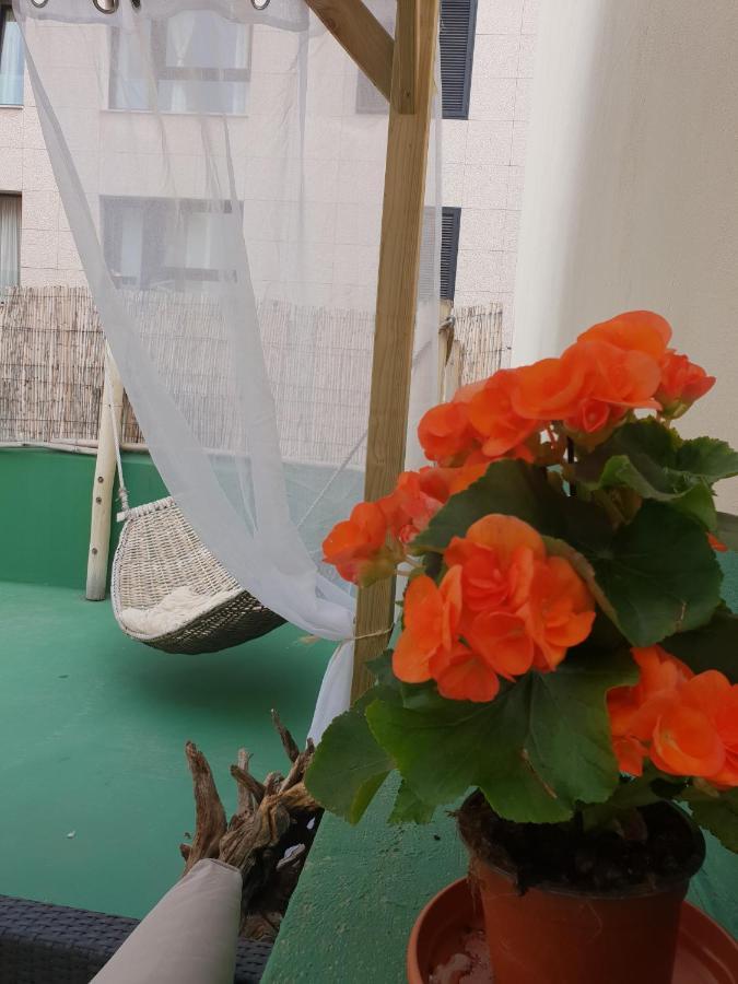 הוסטל לאס פאלמס דה גראן קנאריה Cactus Host מראה חיצוני תמונה